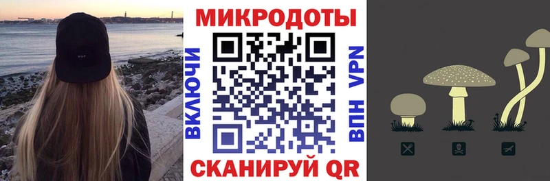 где купить наркоту  Тосно  Галлюциногенные грибы Psilocybine cubensis 